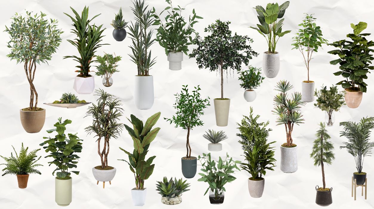 Why Every Room Needs Greenery: The Power of Plants in Interior Design ...