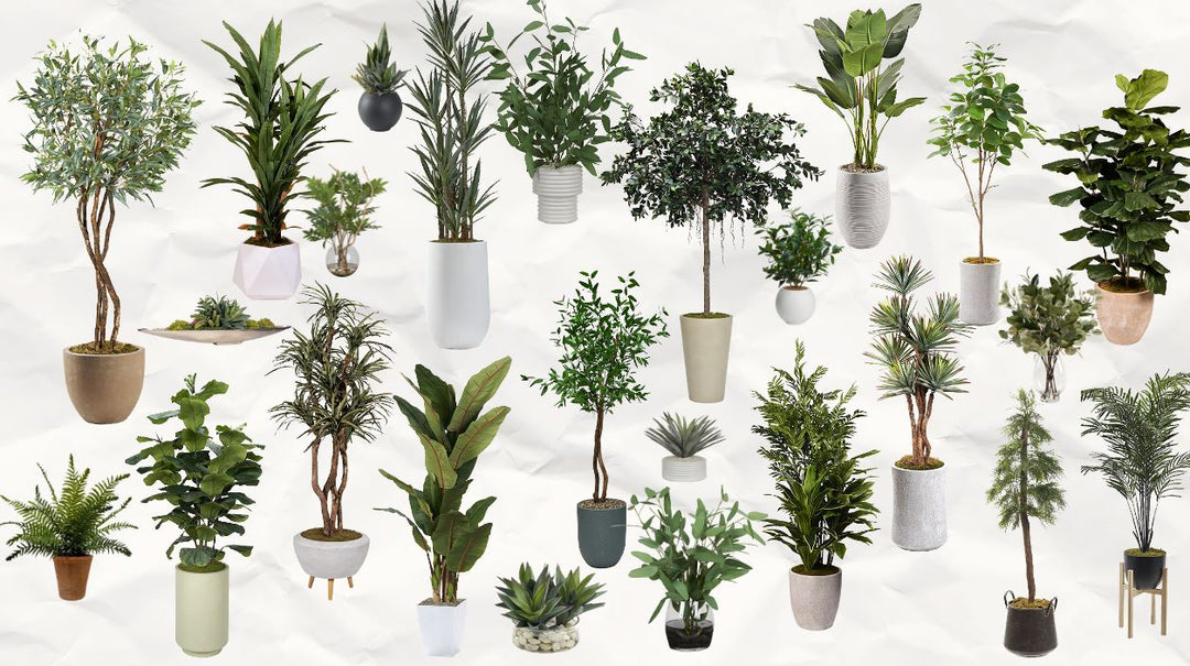 Why Every Room Needs Greenery: The Power of Plants in Interior Design