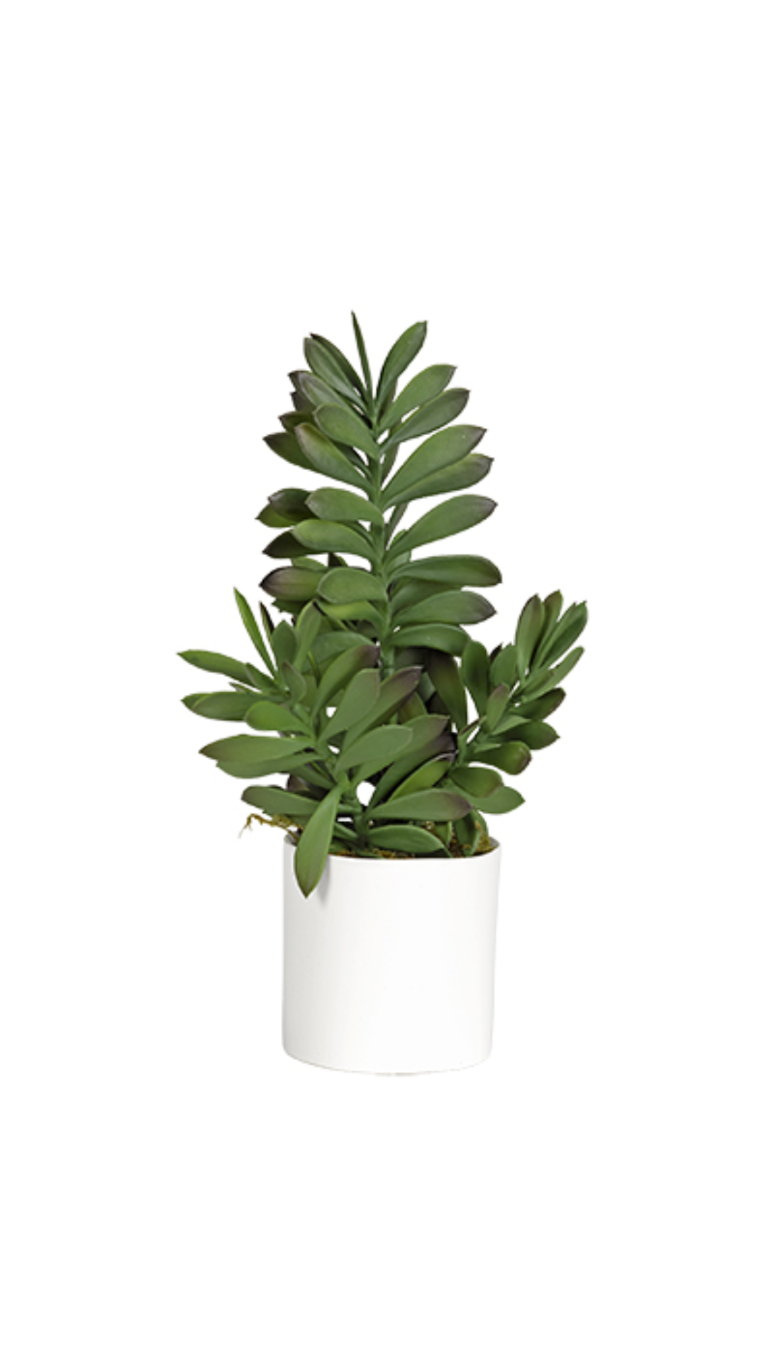 Jade