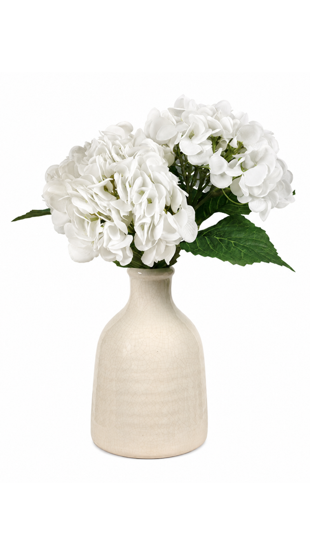 White Hydrangeas