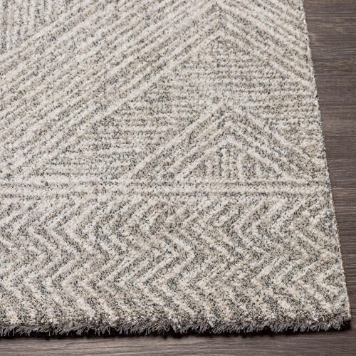 Gavic Rug